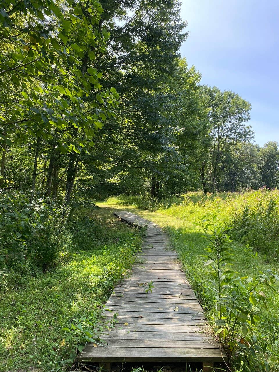 Little Miami River Valley Overlooks
