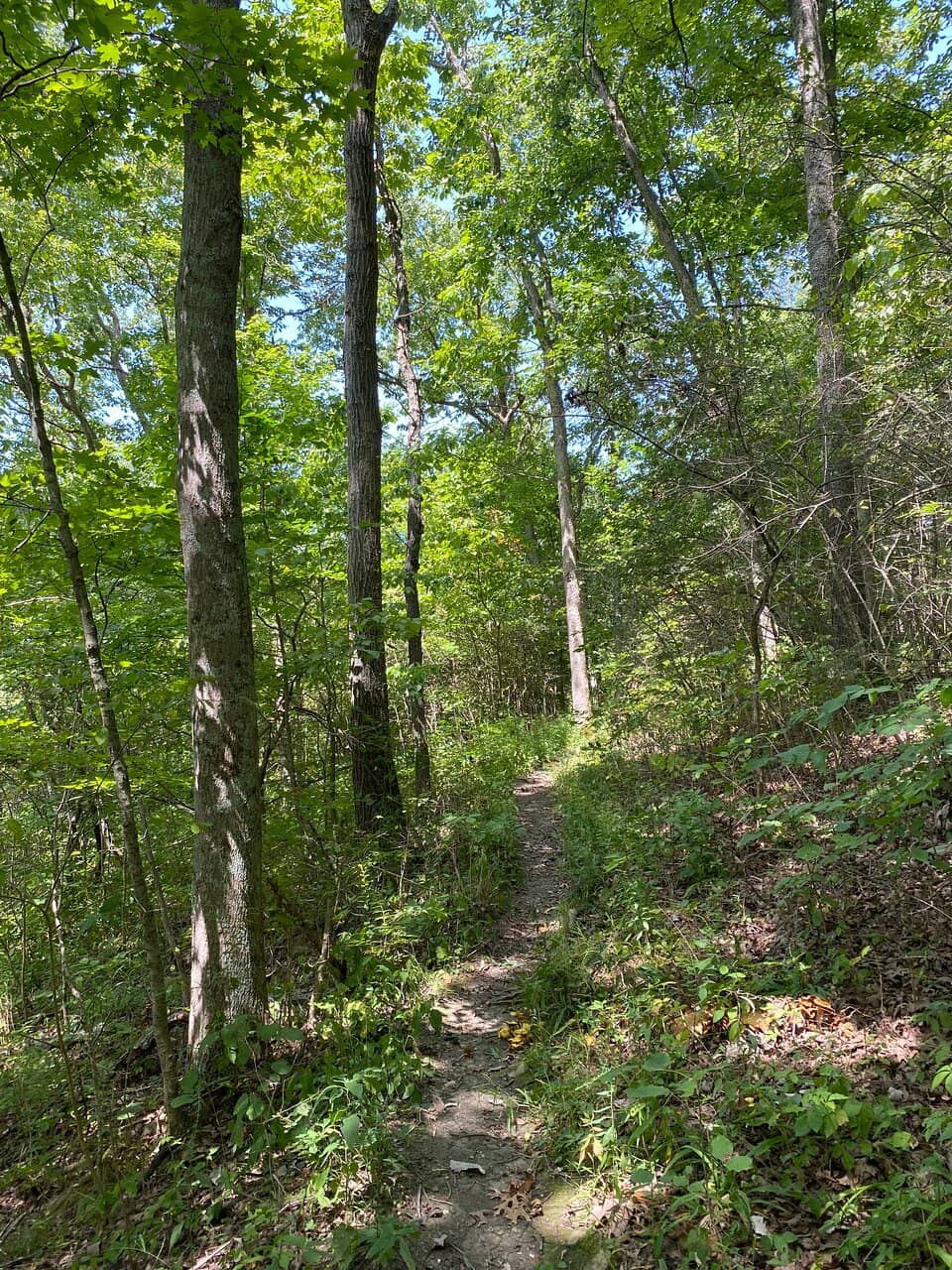 Great Circle Earthworks