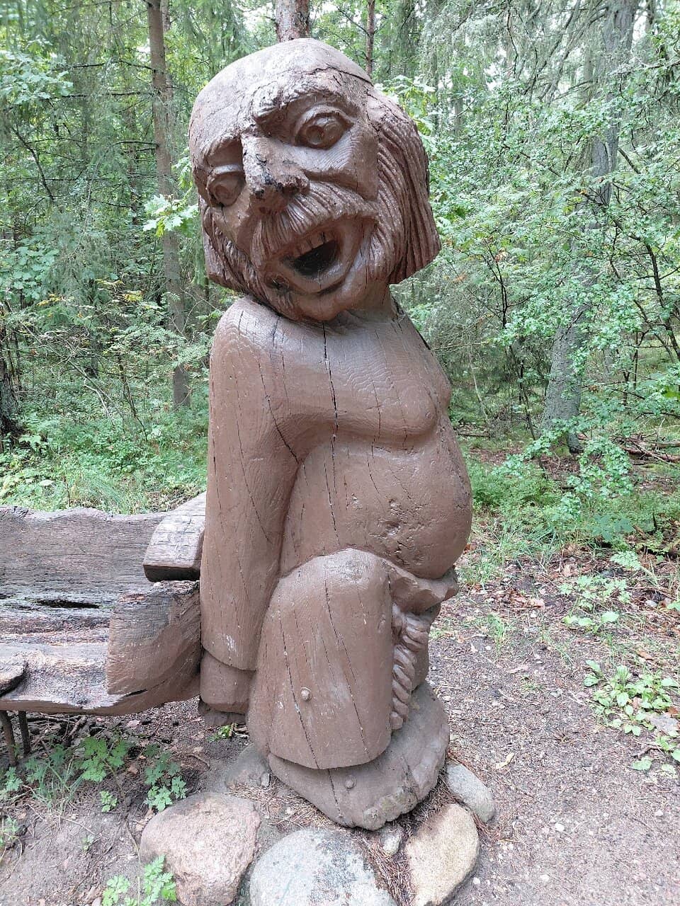 Enchanting Forest Walk