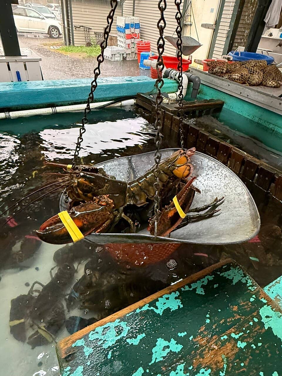 Old-School Charm & Kindness