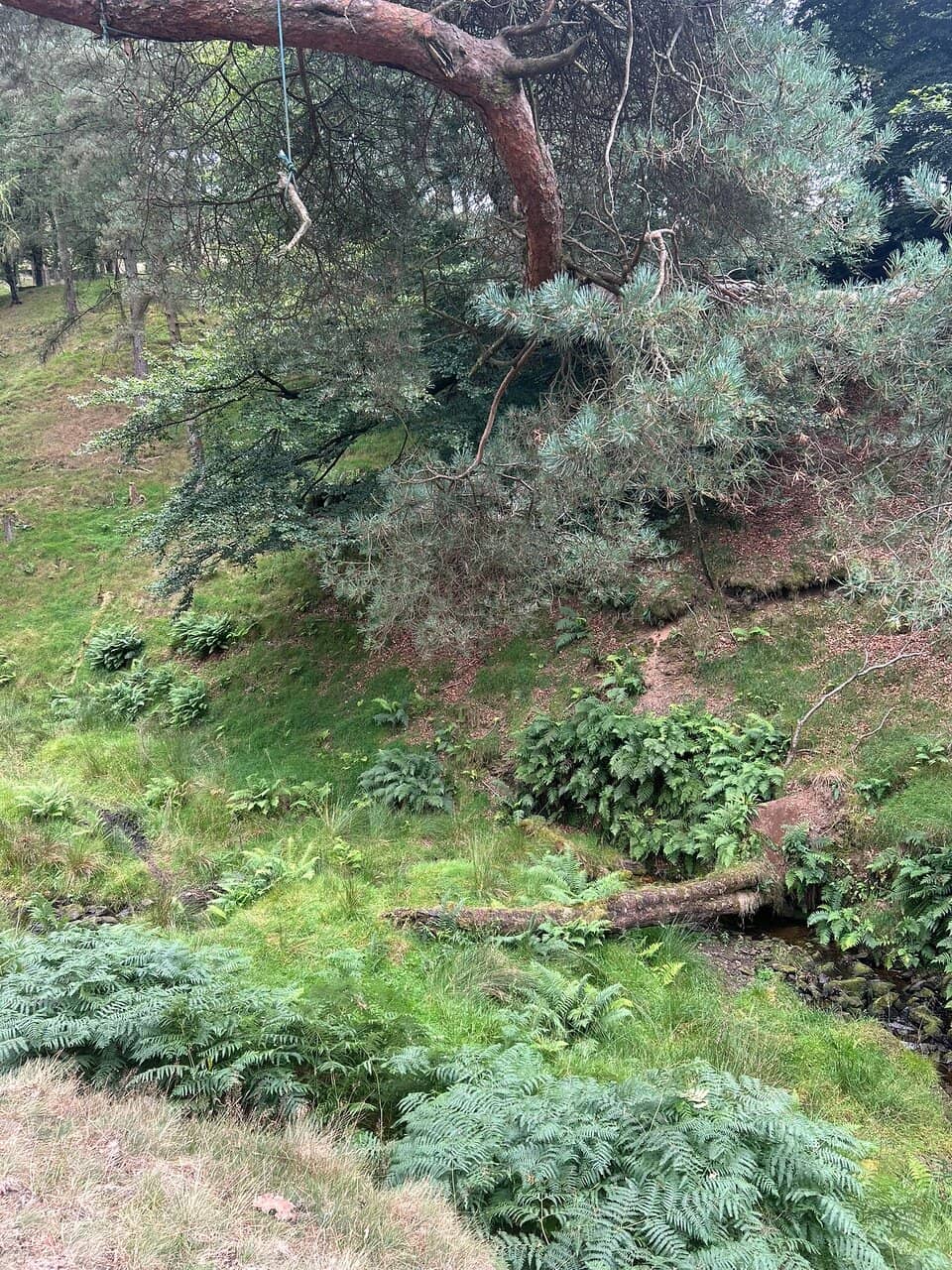 Waterfalls and Pools