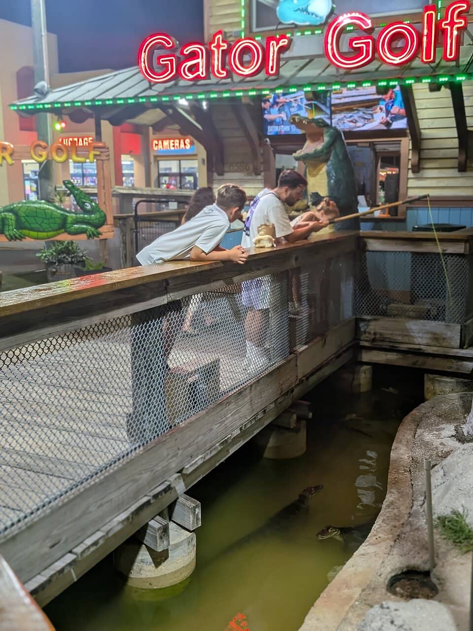 Up-Close Alligator Encounters