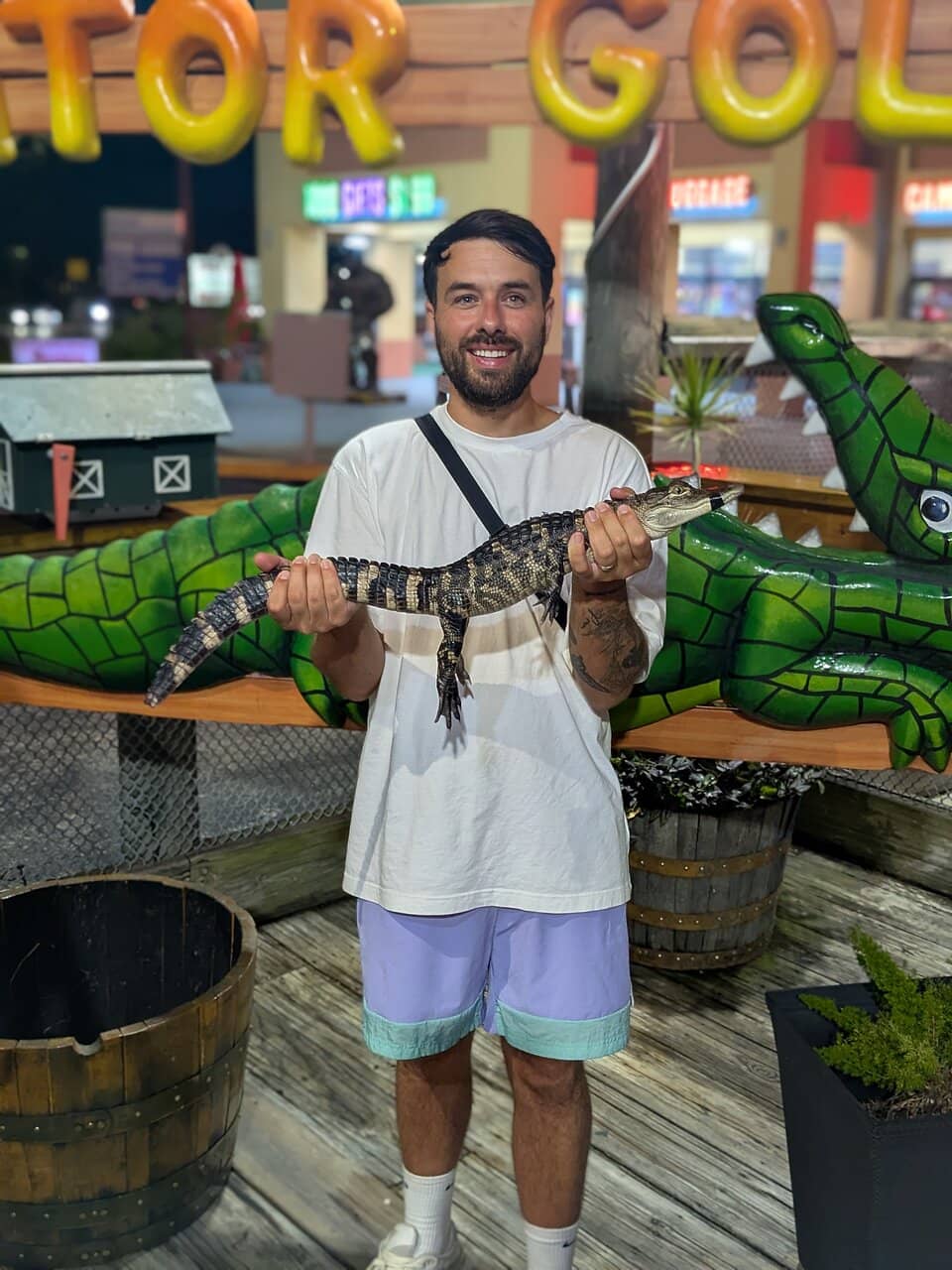 Gator Feeding Frenzy