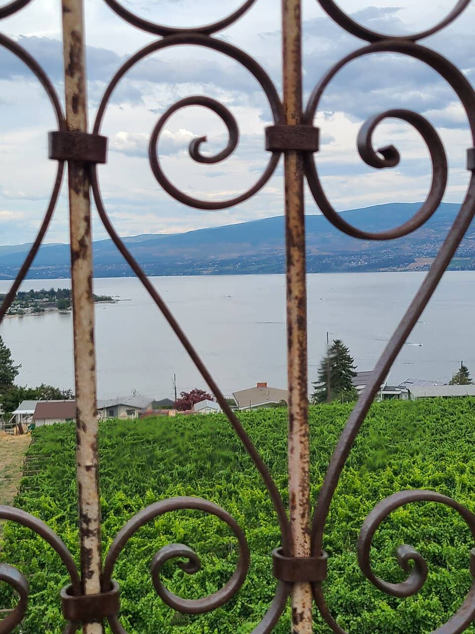 Exceptional Wine Selection