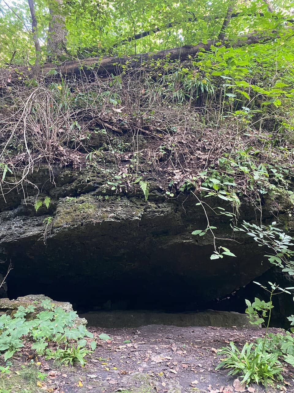 Storybook Trail