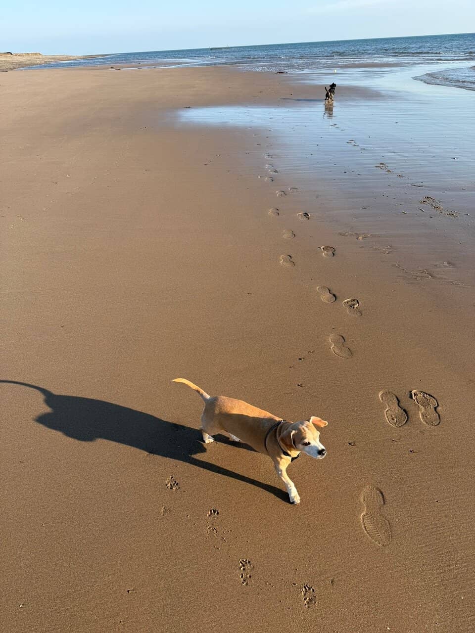 Coastal Walks & Views
