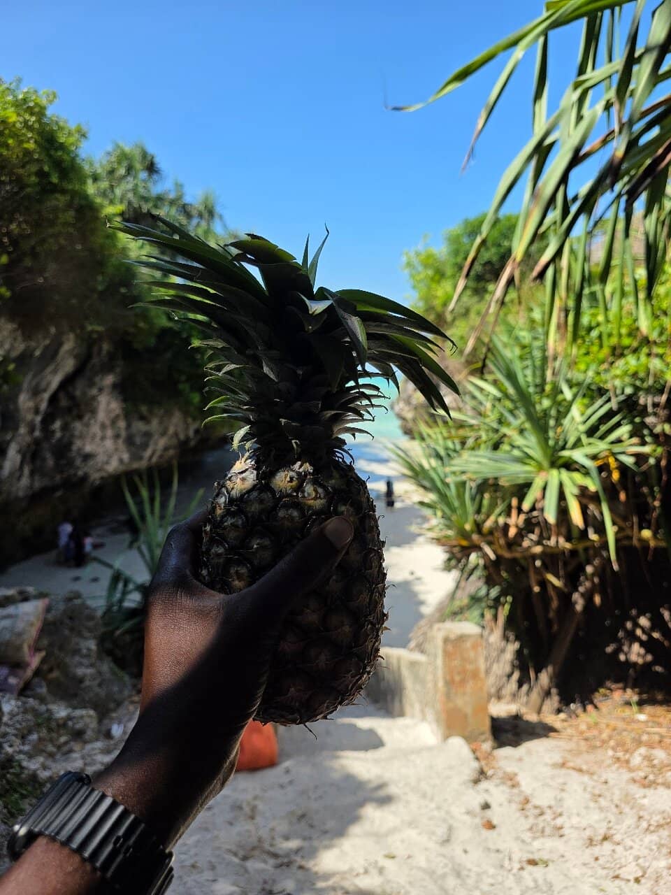 Breathtaking Coastal Views