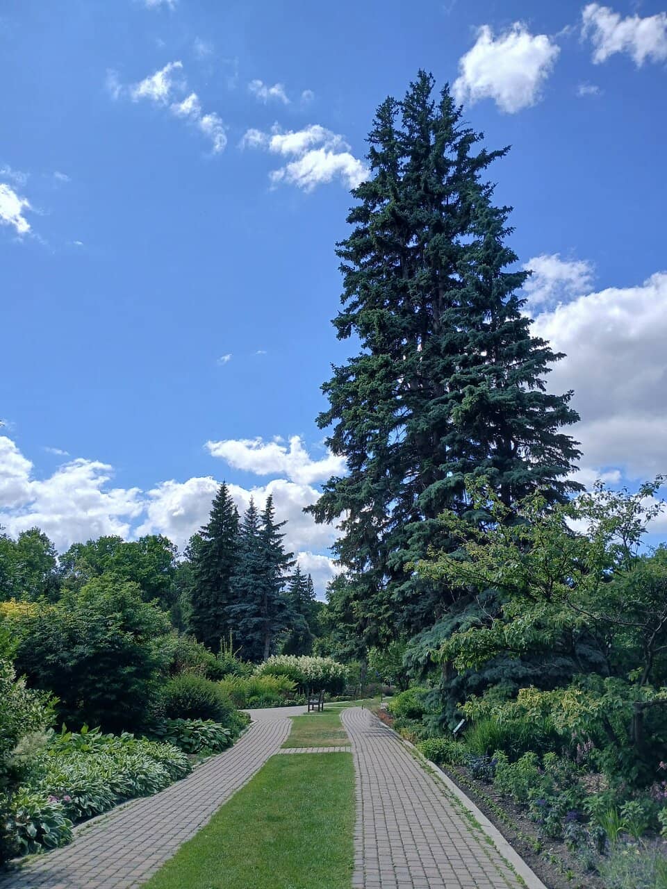 Canada's Diversity Gardens