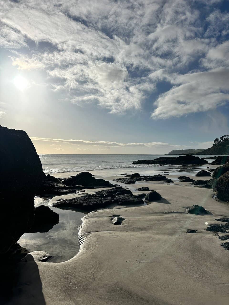 Whale Watching Lookout