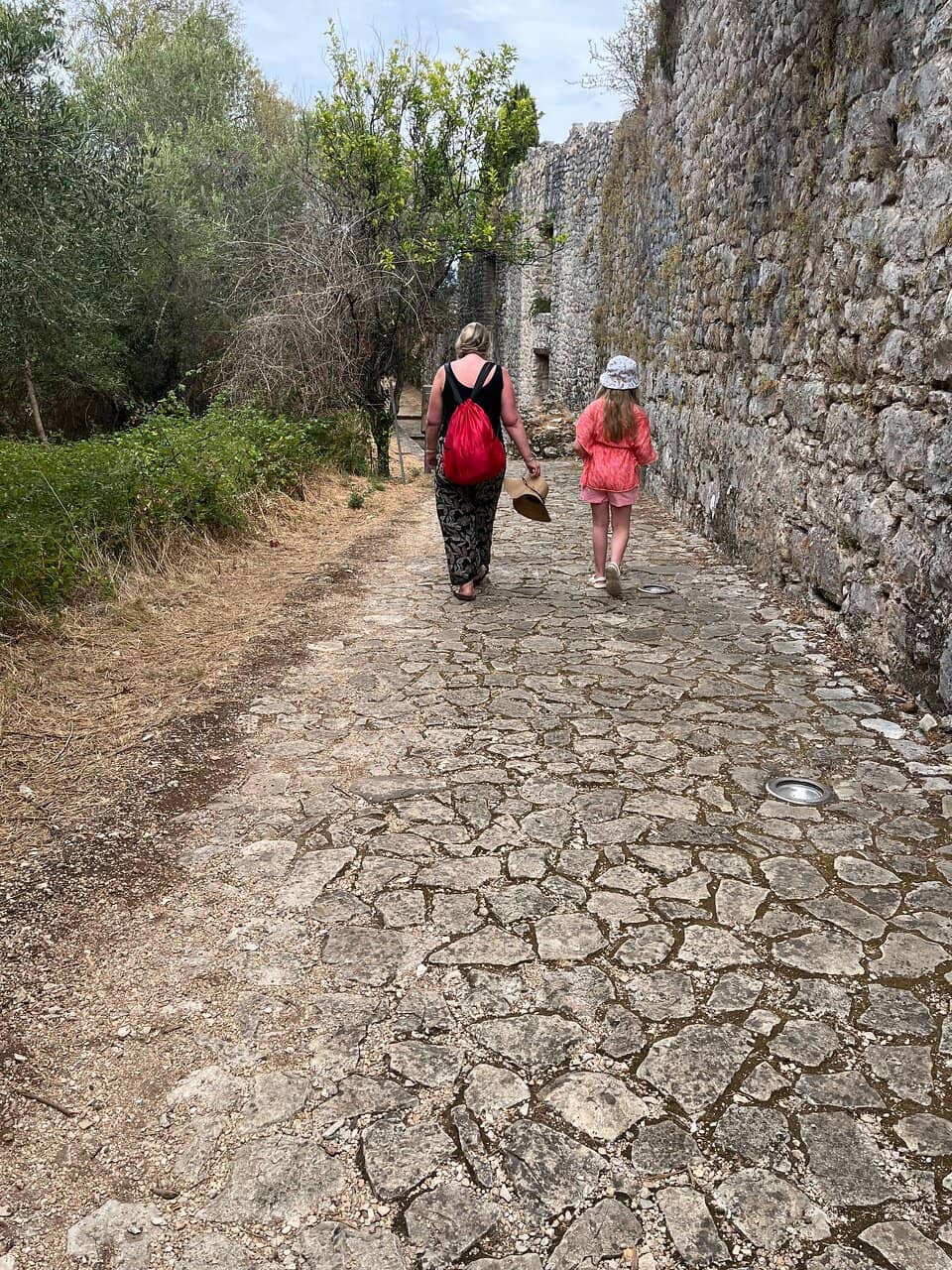 Ancient Olive Groves