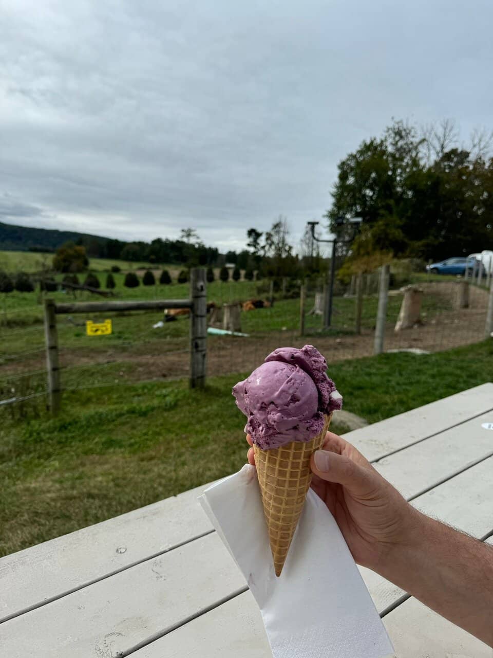 Scenic Berkshire Views