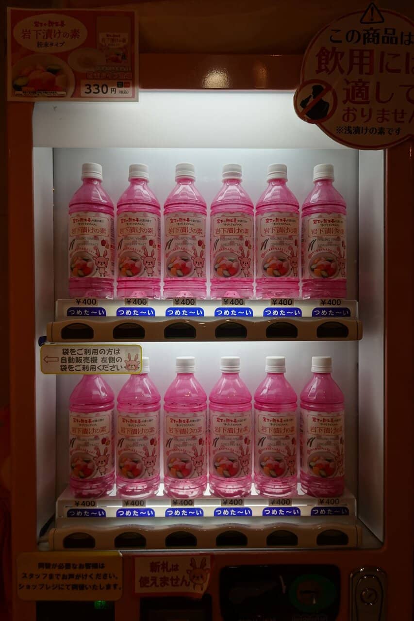 Iwashika-chan Mascot Meet & Greet