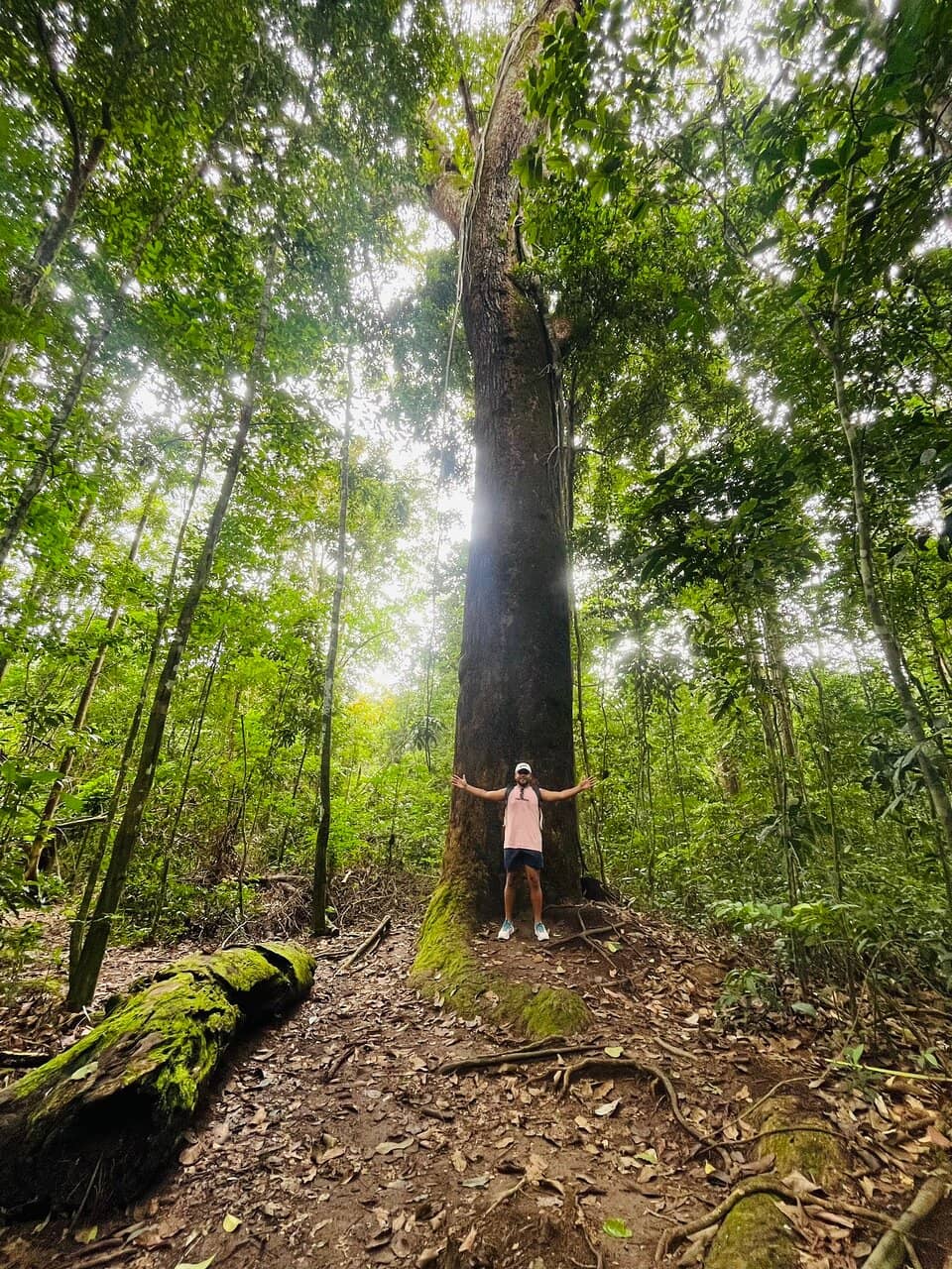 Forest Guardian Programs