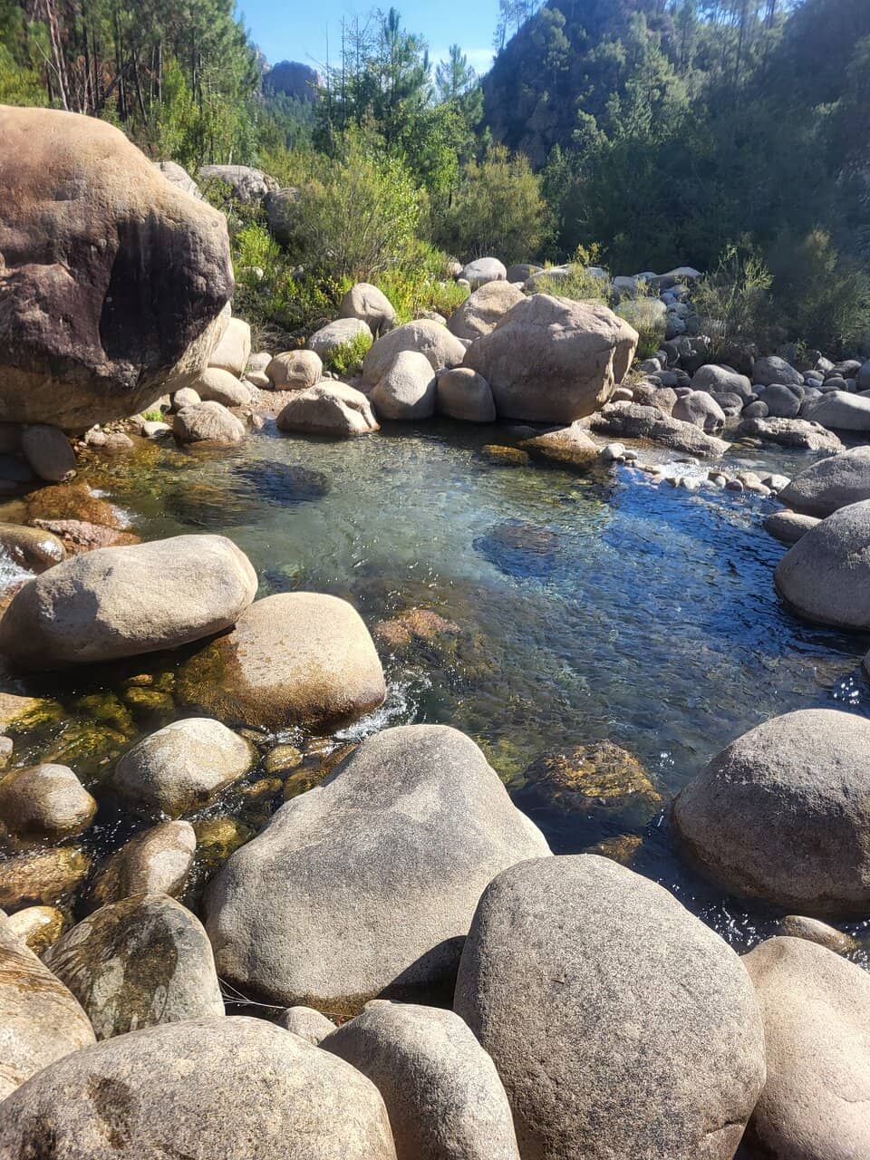 Beautiful Surroundings