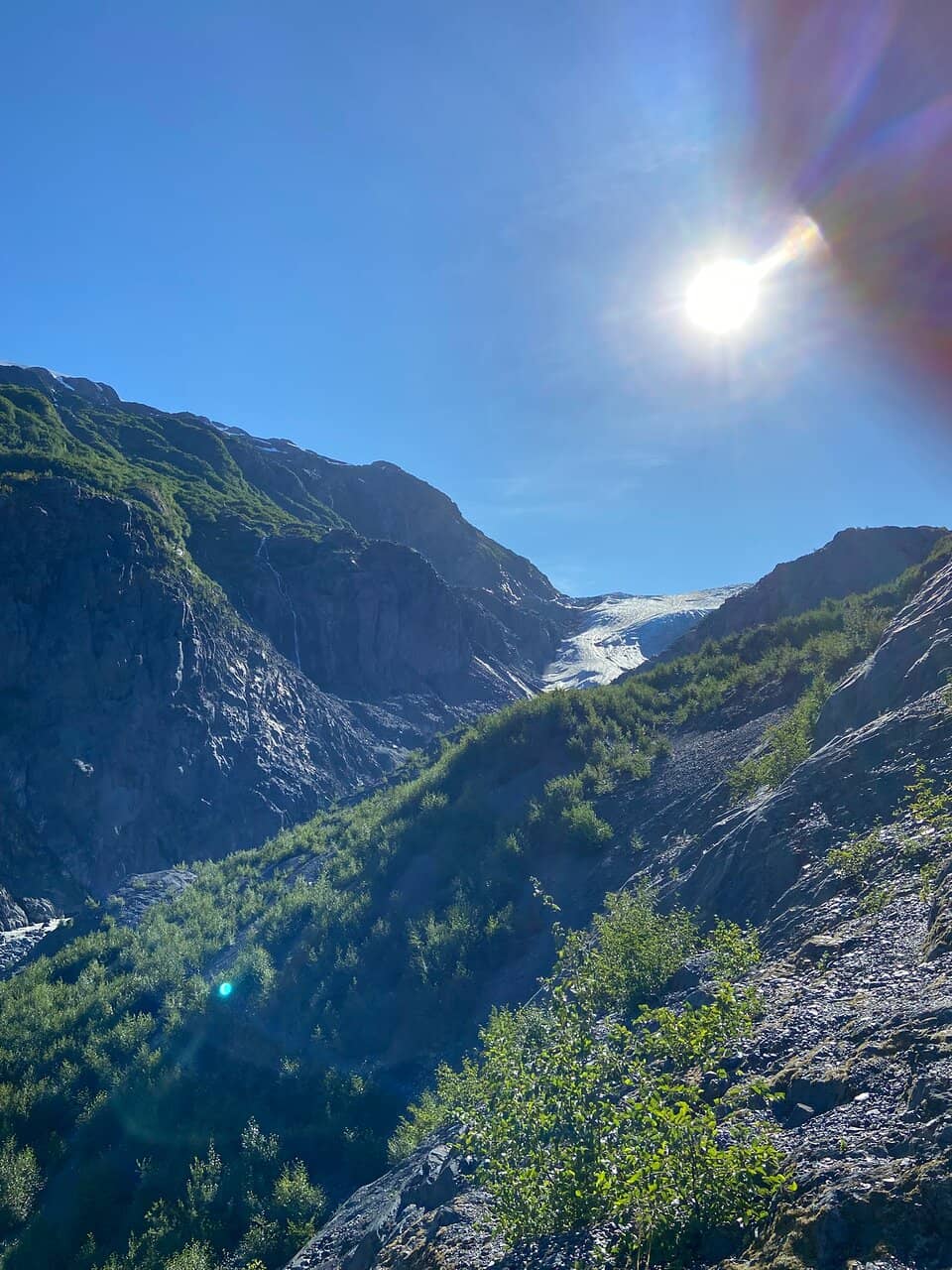 Harding Icefield Trail