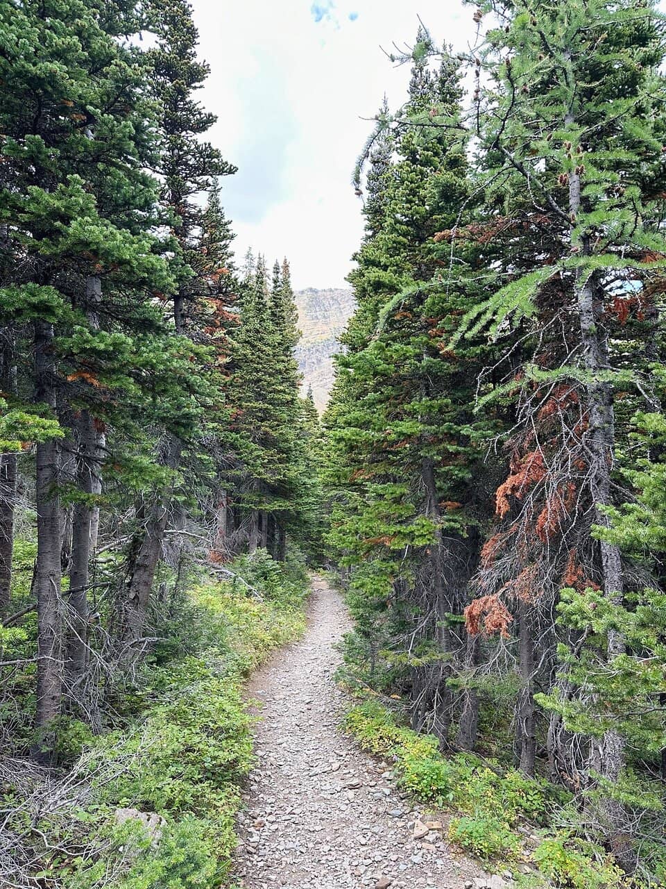 Turquoise Alpine Lakes