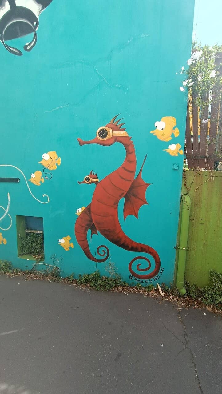 The Colorful Streets