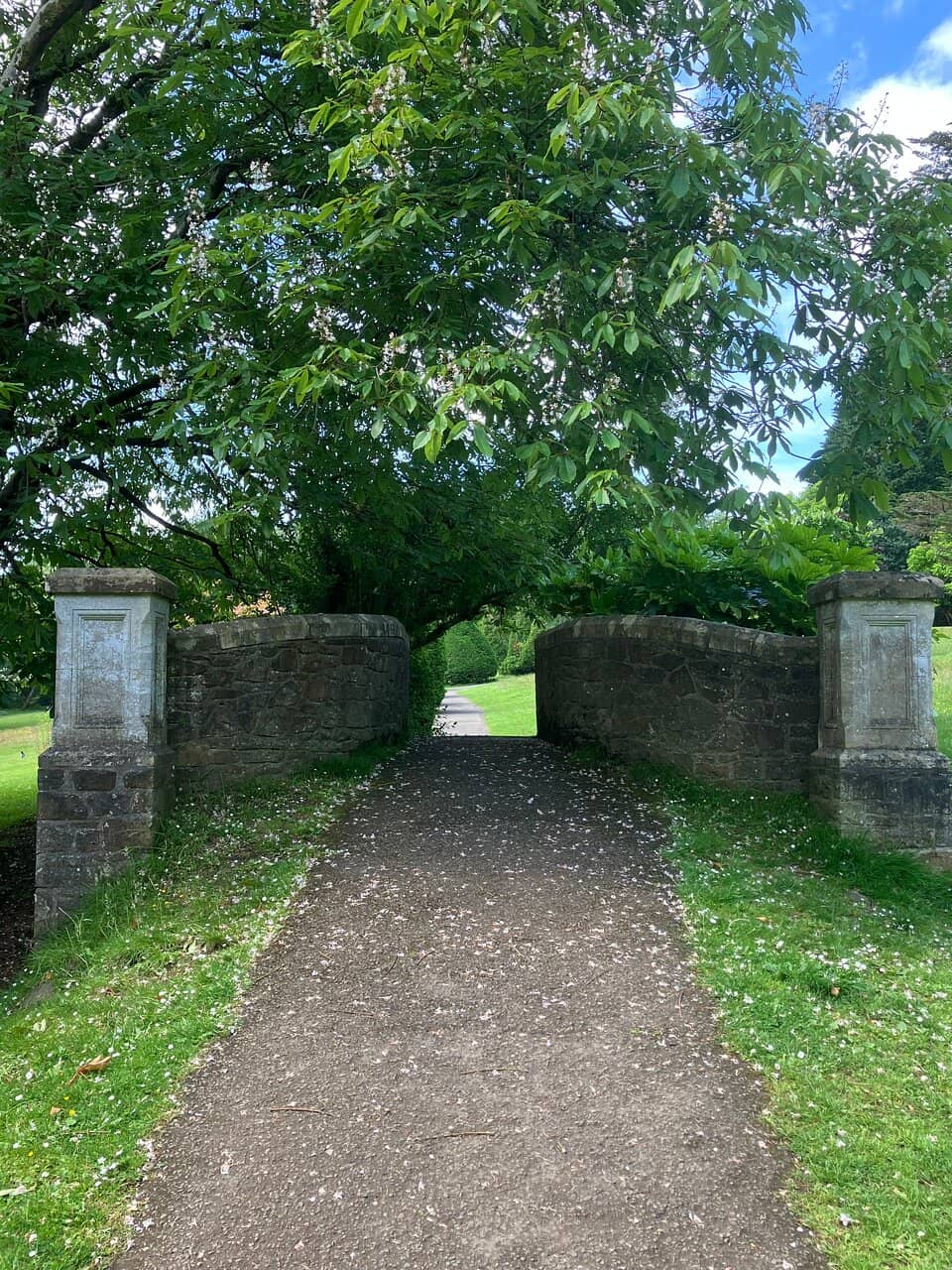 Panoramic Swansea Bay Views