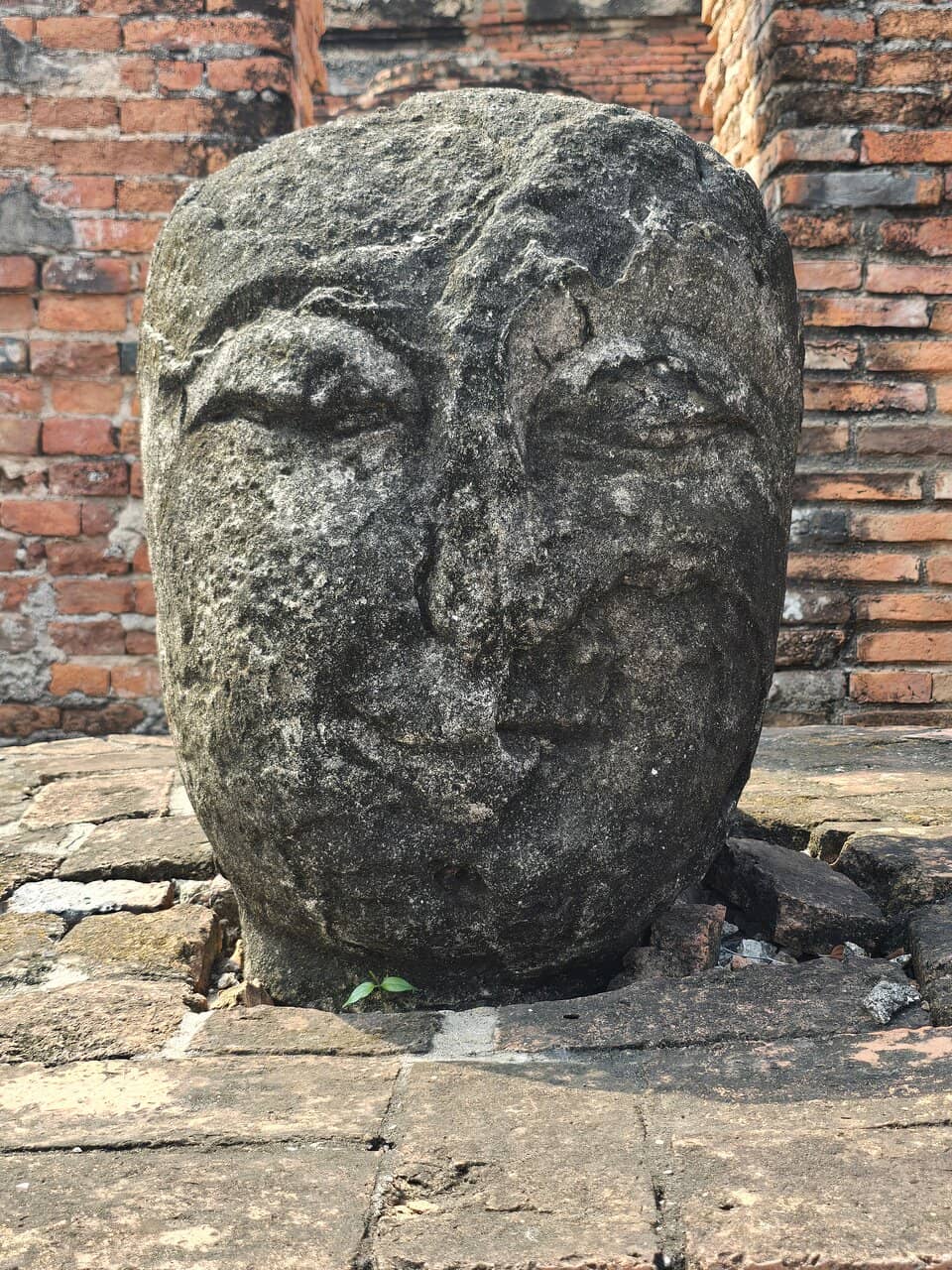 Carved Buddha Images