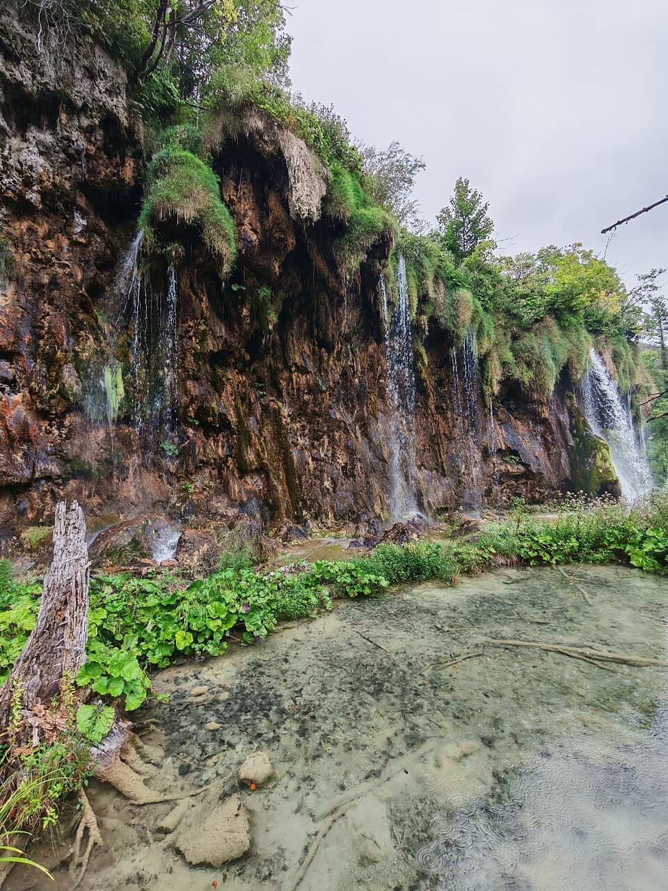 Waterside Sculpture Trail