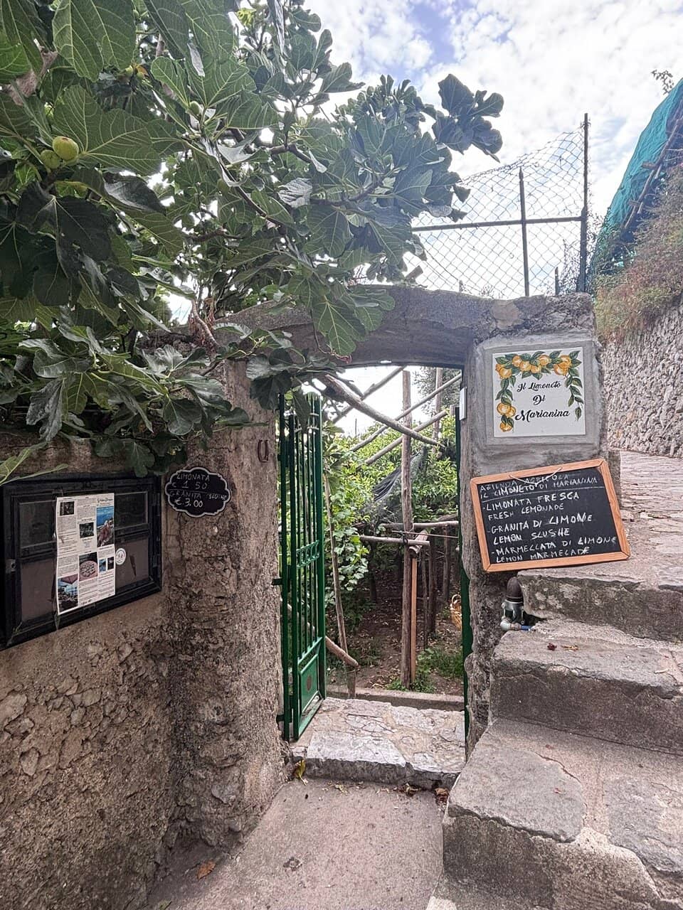 Local Lemonade Stands