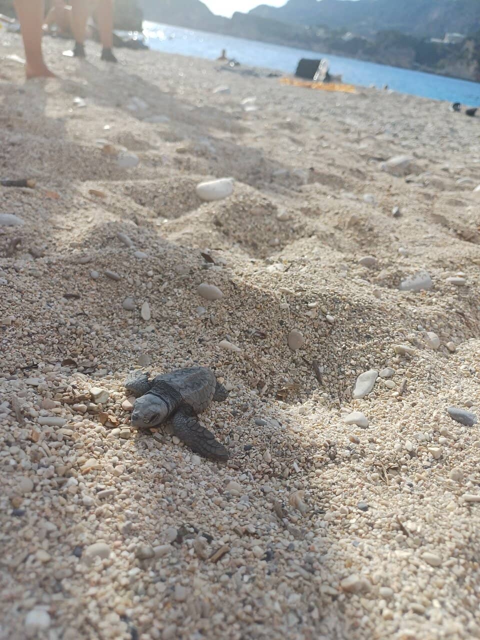 Rocky Ledges for Thrills