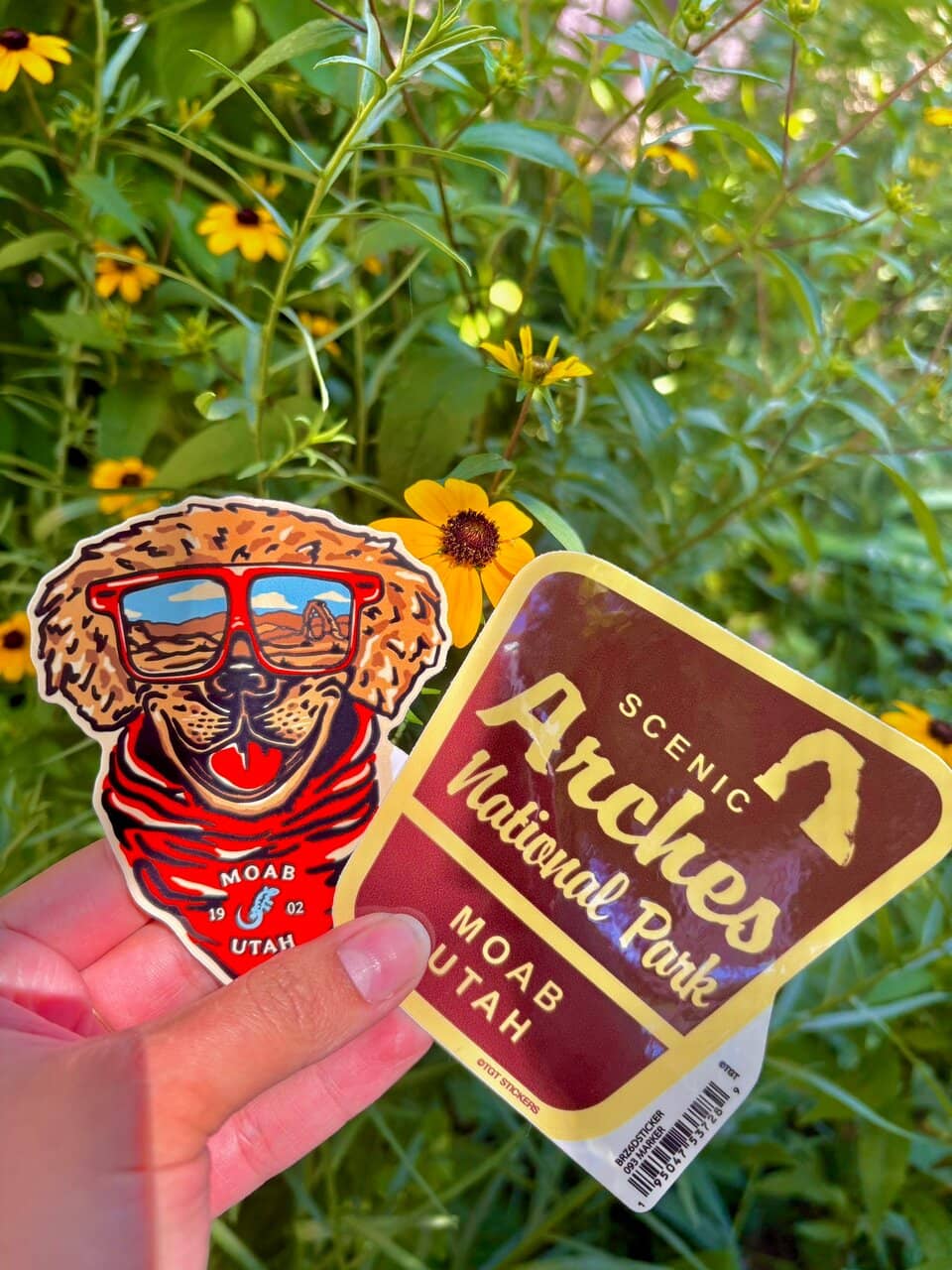 Perfect Eggs Benedict