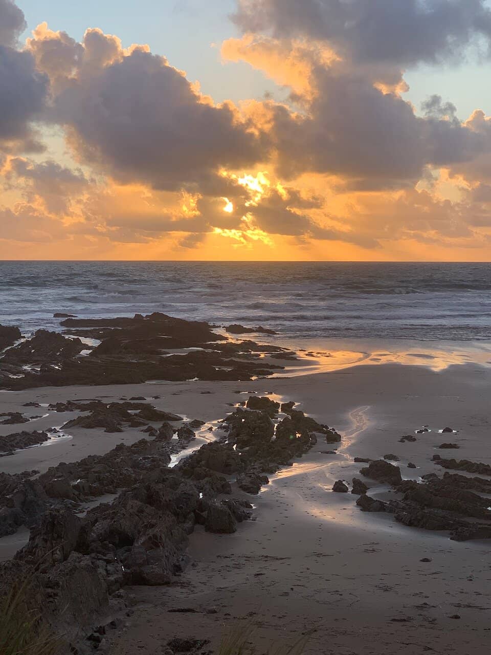 Surfing and Beginner Waves