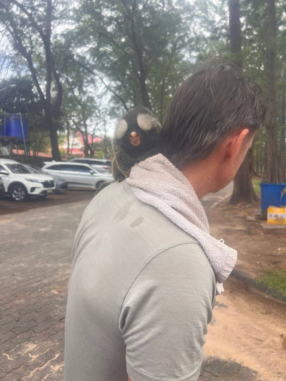 Seafood Delights at Rawai Pier