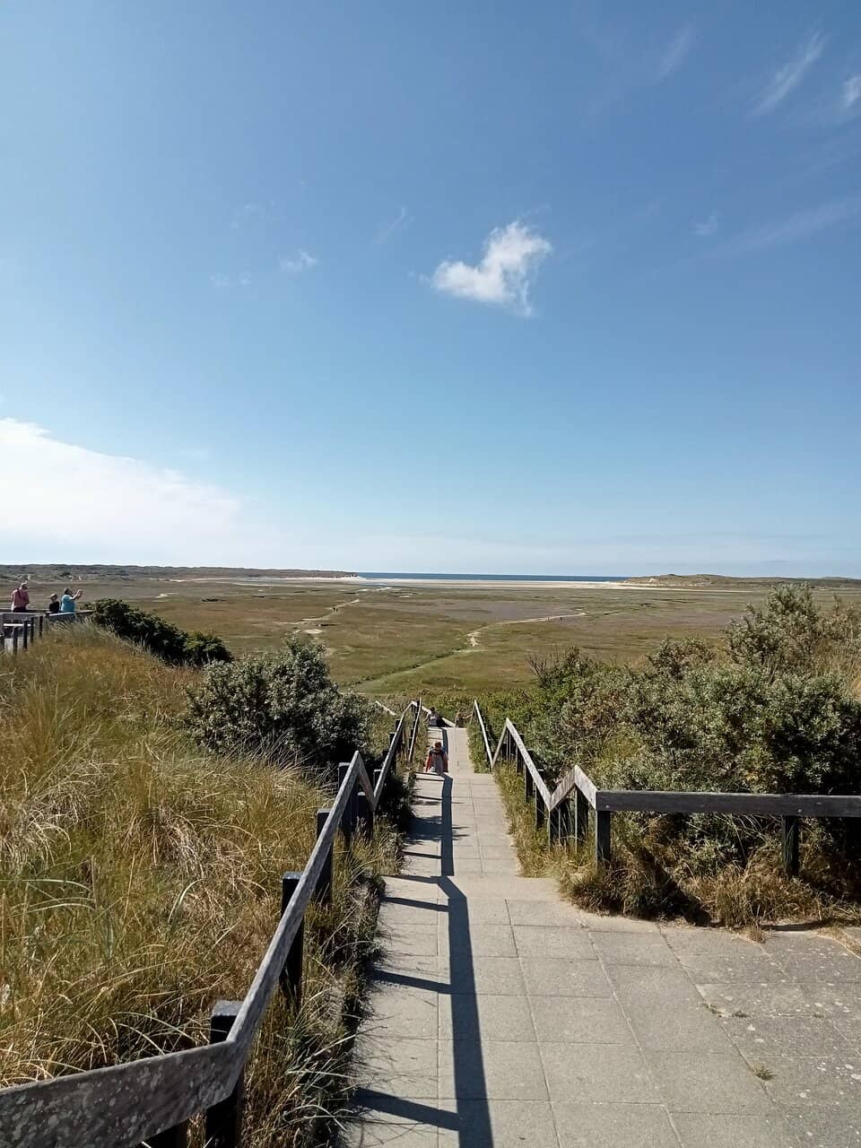 Dunes of Texel National Park Trails