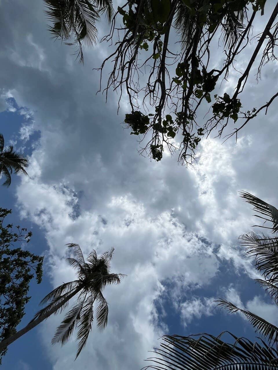 Local Village Lifestyle