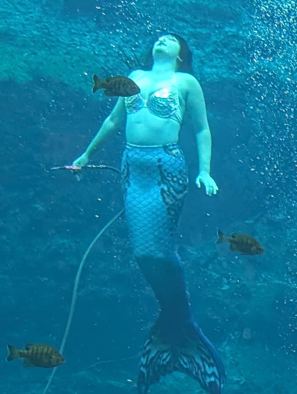 Buccaneer Bay Water Park