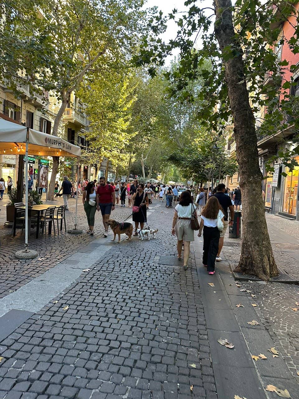 Belvedere di San Martino