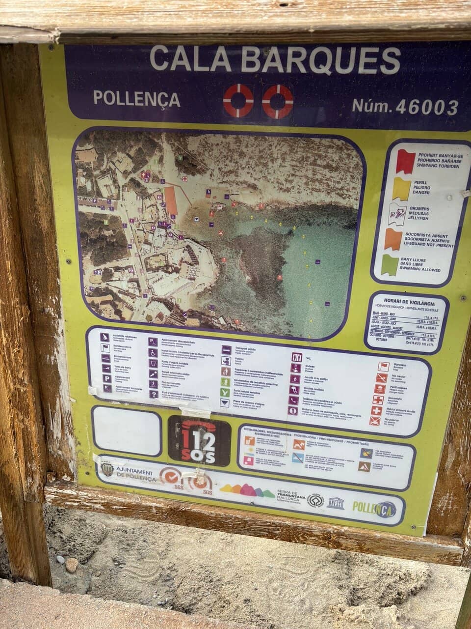 Evening Goat Sightings