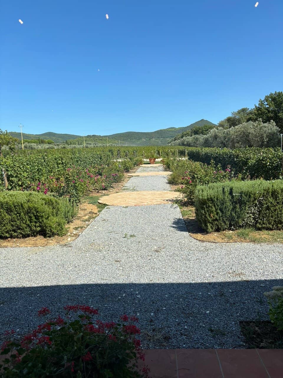 Wine Library and Tasting Room