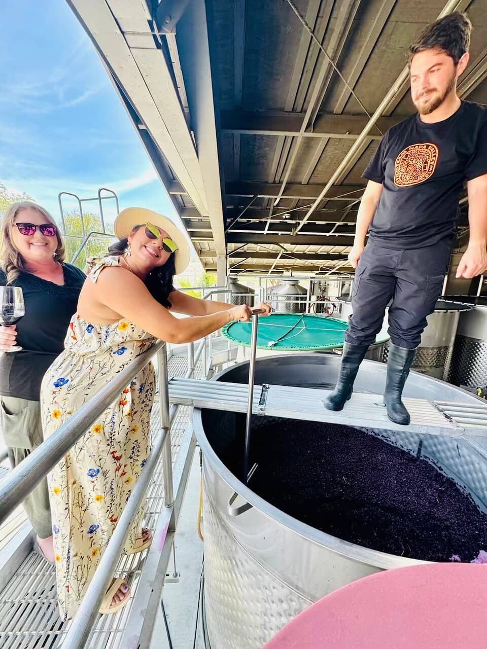 Meet the Majestic Horses