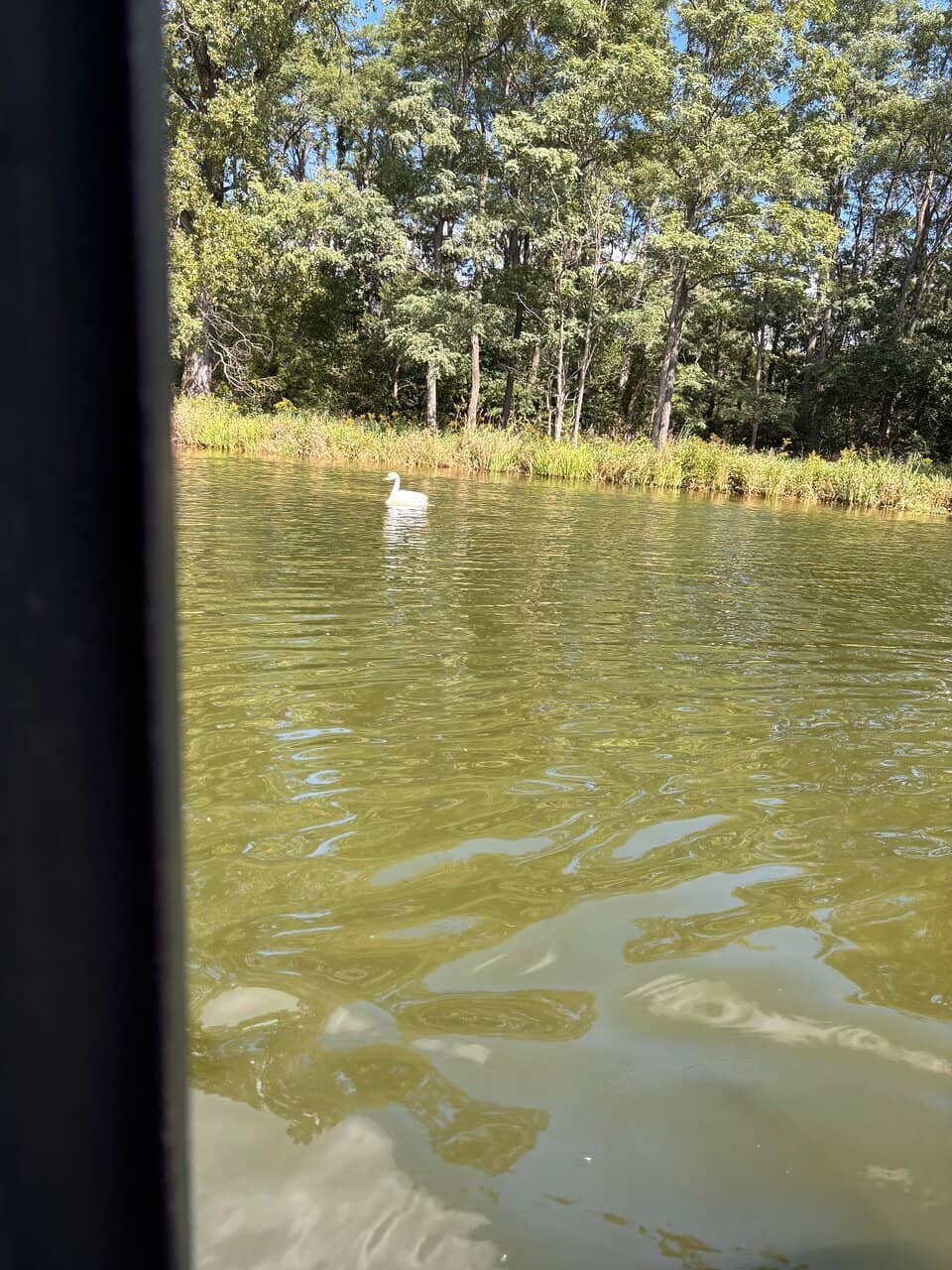 Captain's Commentary