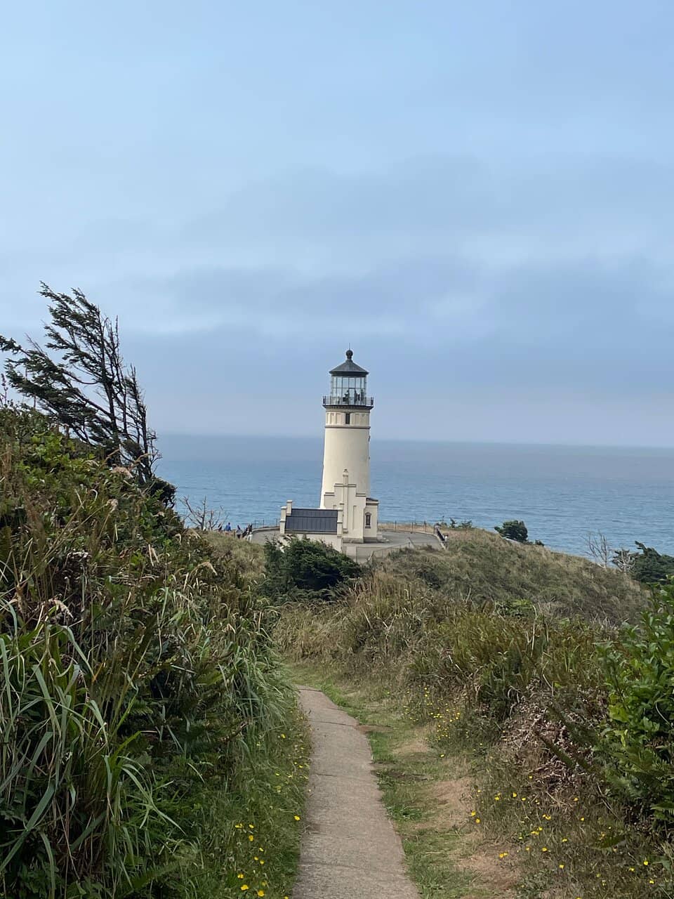 Whale Watching Vantage Point