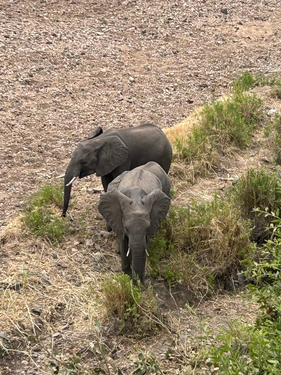 Chalet with Braai Area
