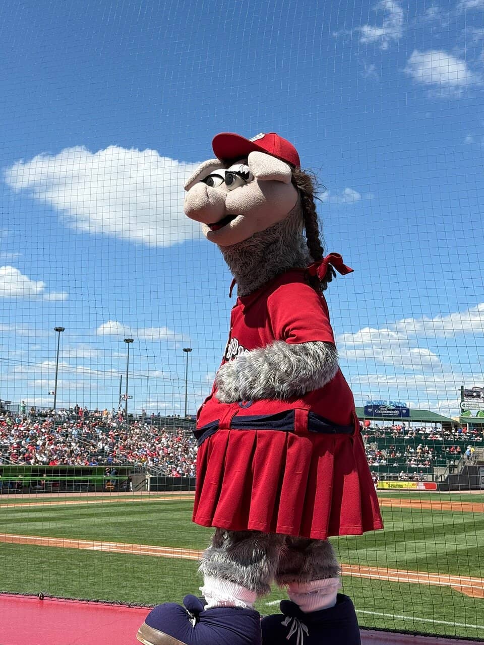 Illumination Holiday Lights