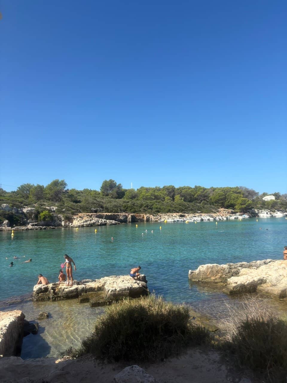 Turquoise Waters