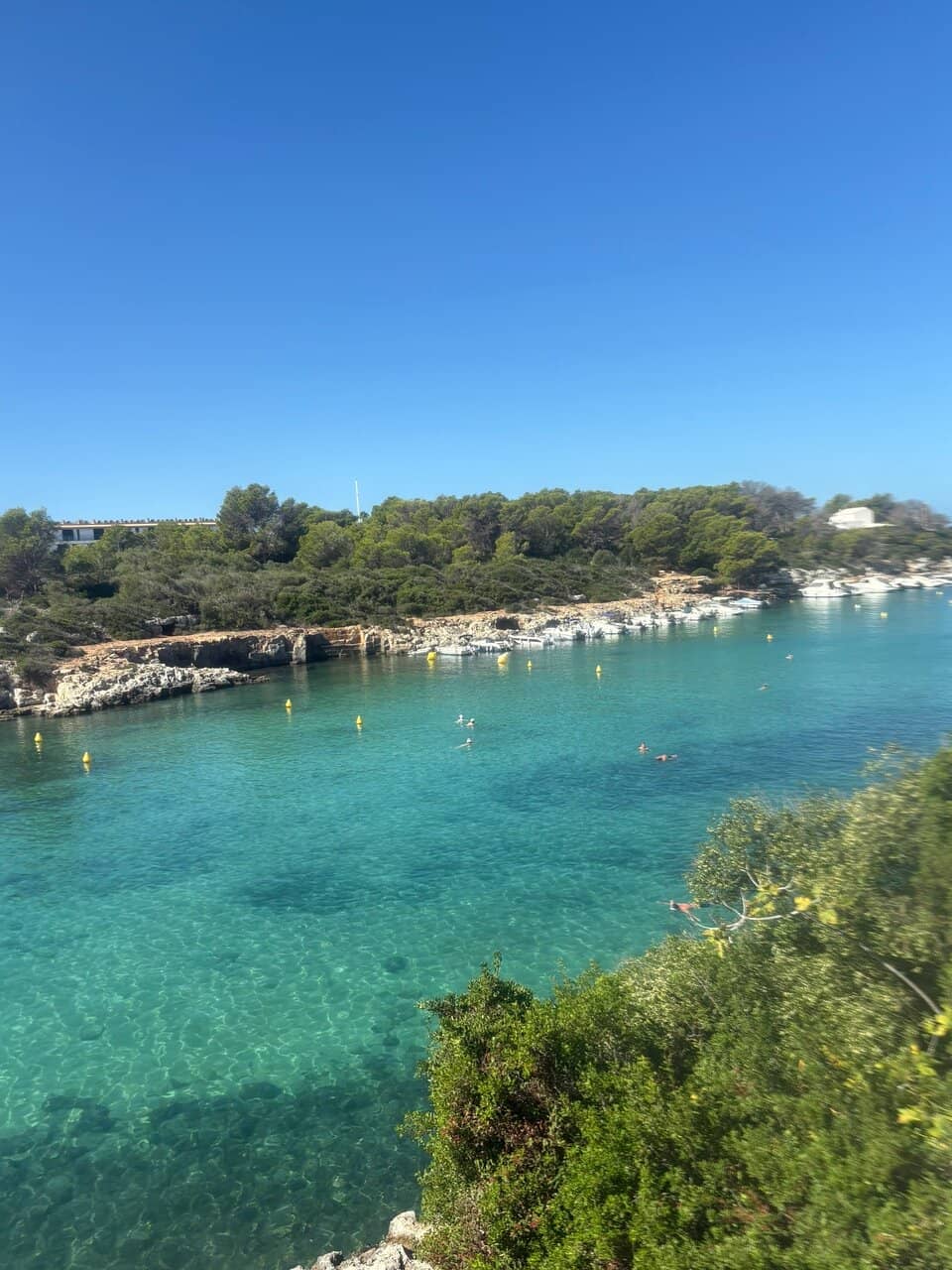 Snorkeling Opportunities