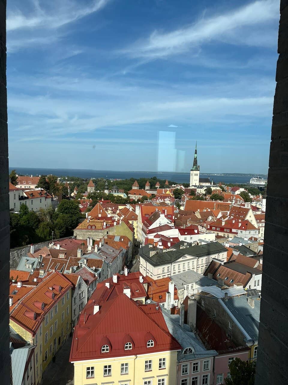 Christmas Tree Display