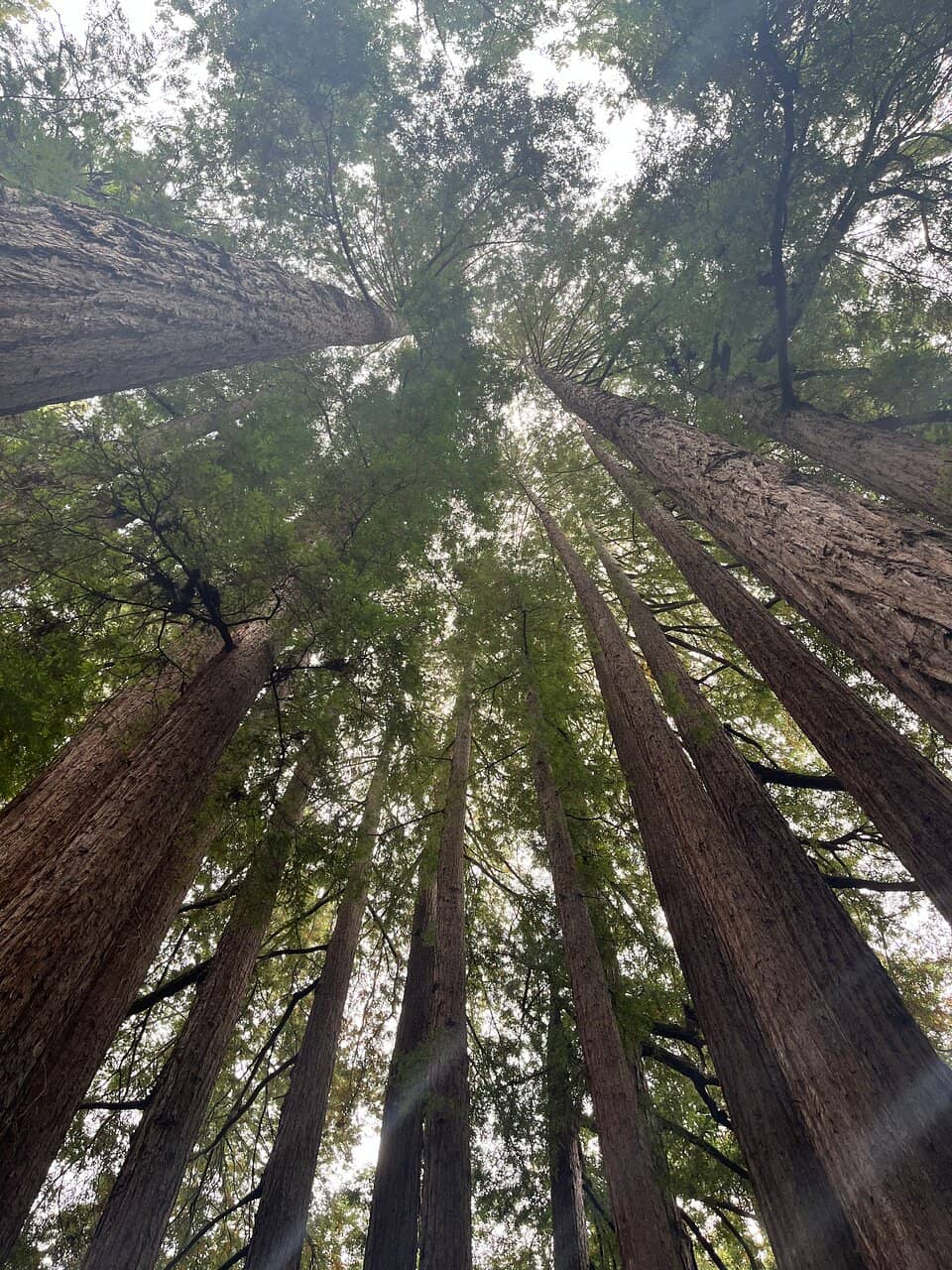 Vertical photo