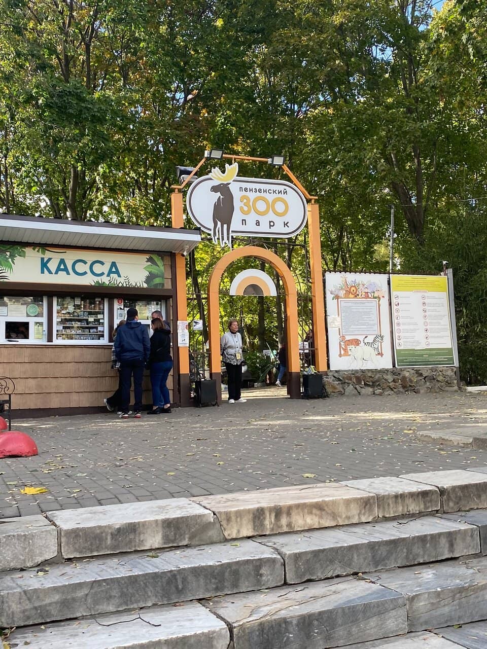 Rescued Puma 'Messi'