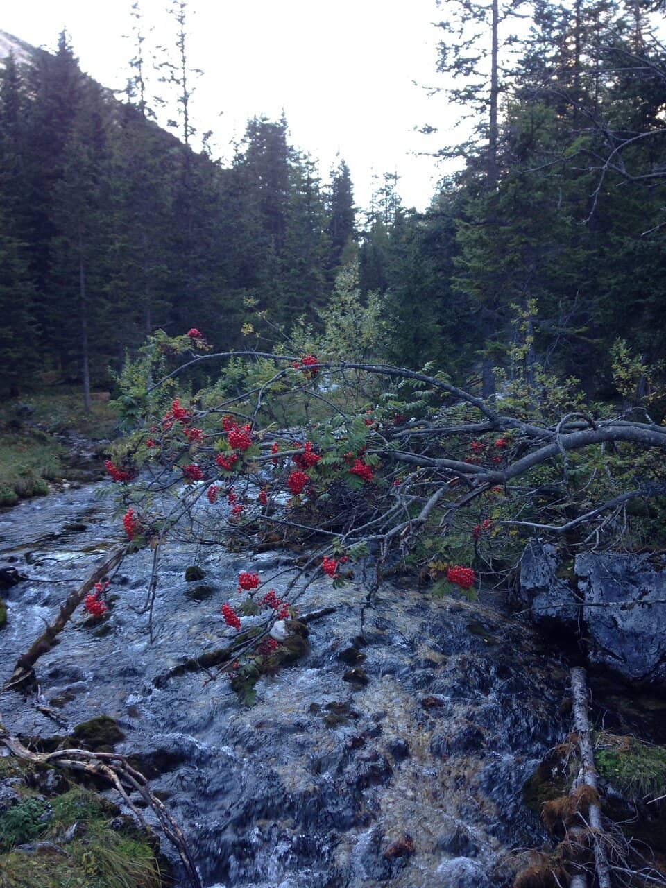 Via Ferrata Giovanni Barbara