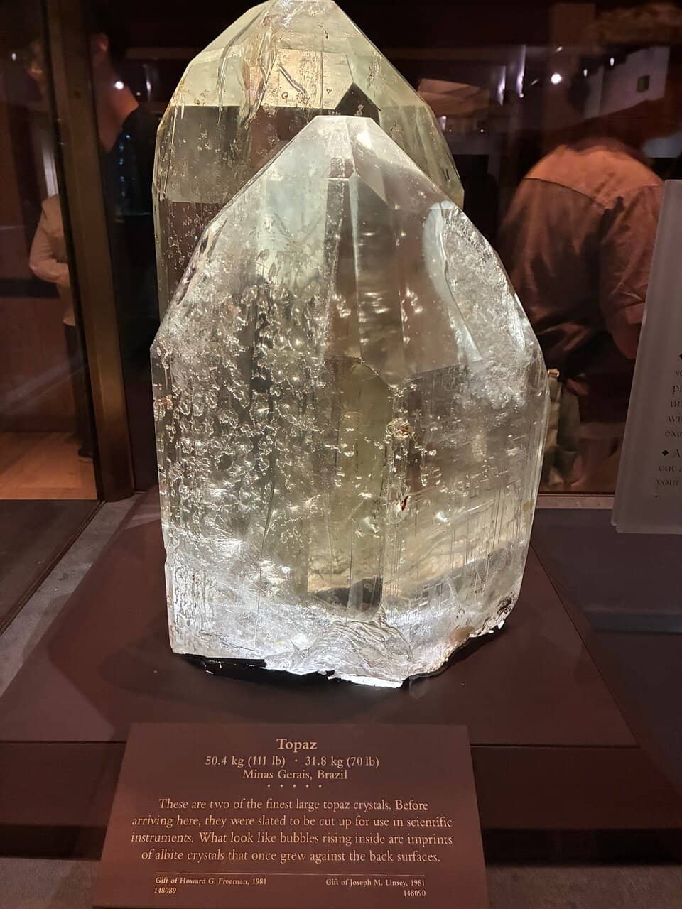 Stuffed Animal Exhibits