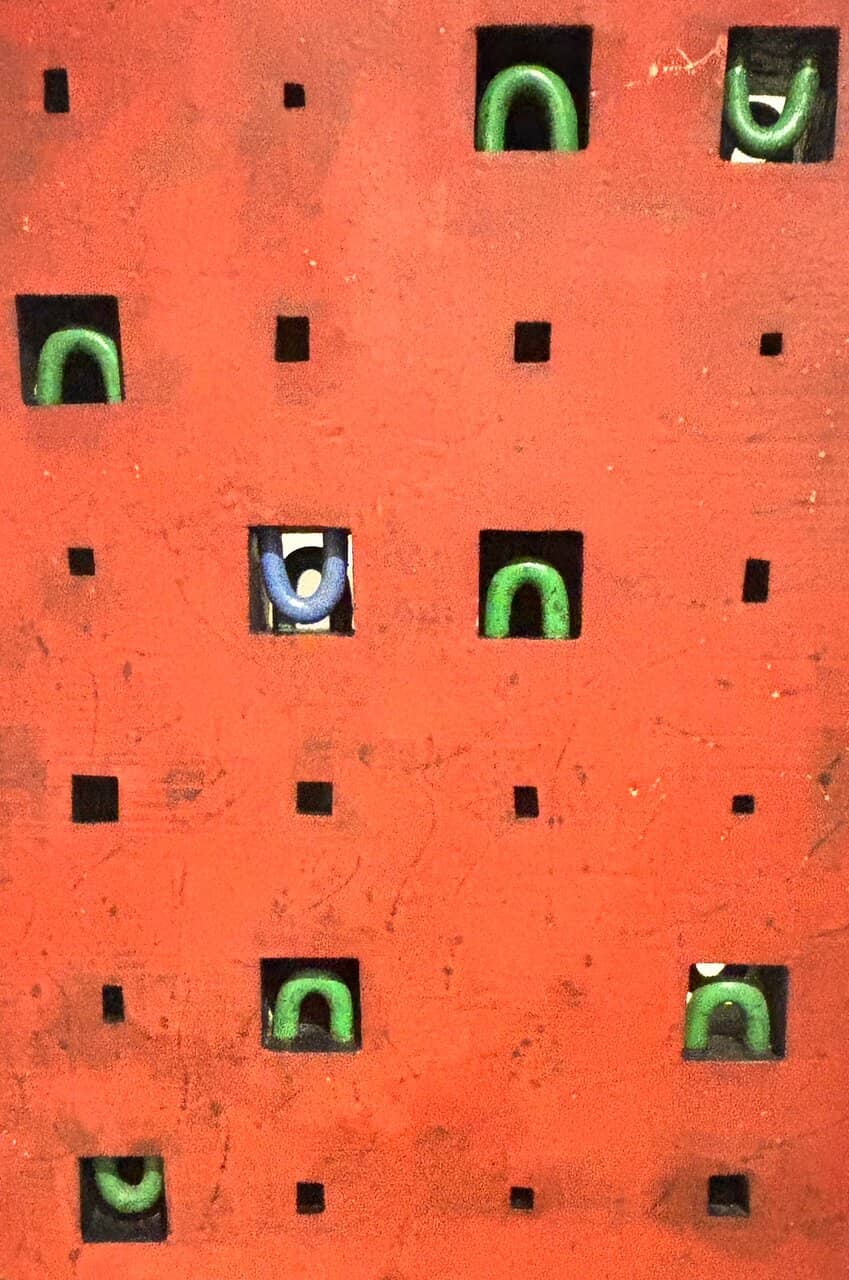 Kyoto Costume Institute Collaboration