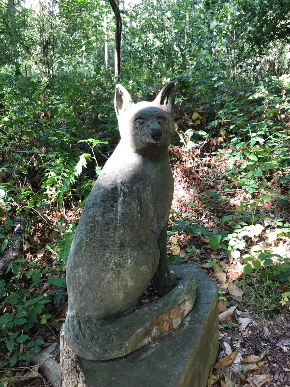 Georgian Mansion Interior