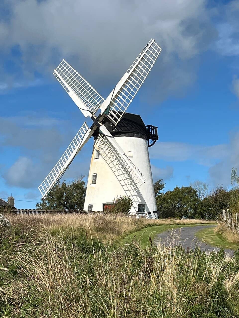 Bronze Age Hut Replicas